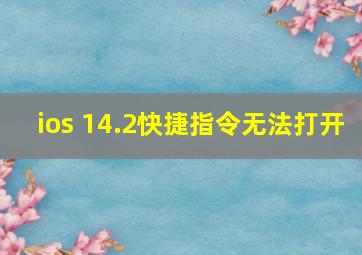 ios 14.2快捷指令无法打开